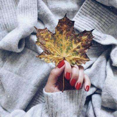 天博官网新版app下载安装教程