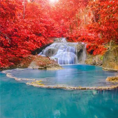 彩神8官网下载手机版