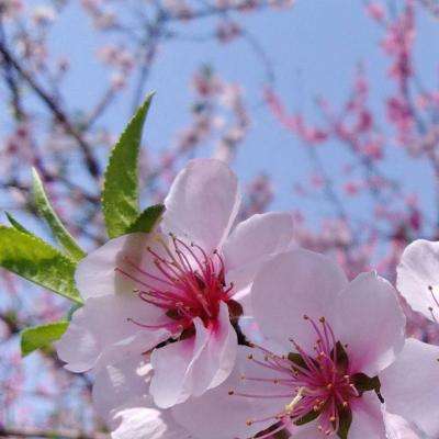 欧宝娱乐APP官方下载